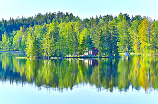 五感でフィンランドの「森」を感じる