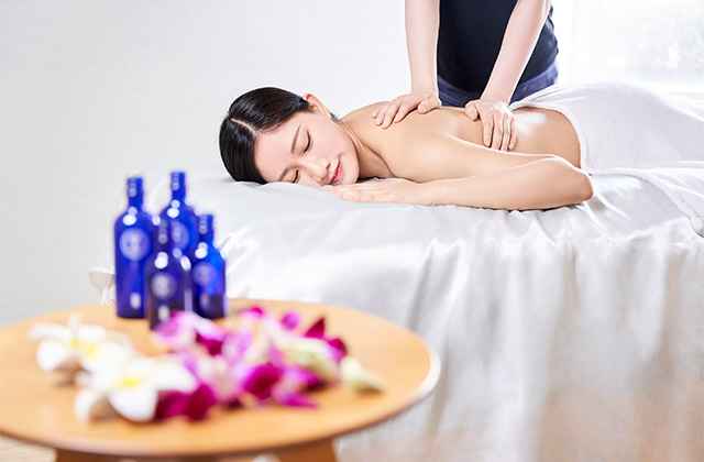 入館付き10,000円パックでフェアを満喫！